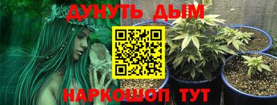 дмт Малгобек