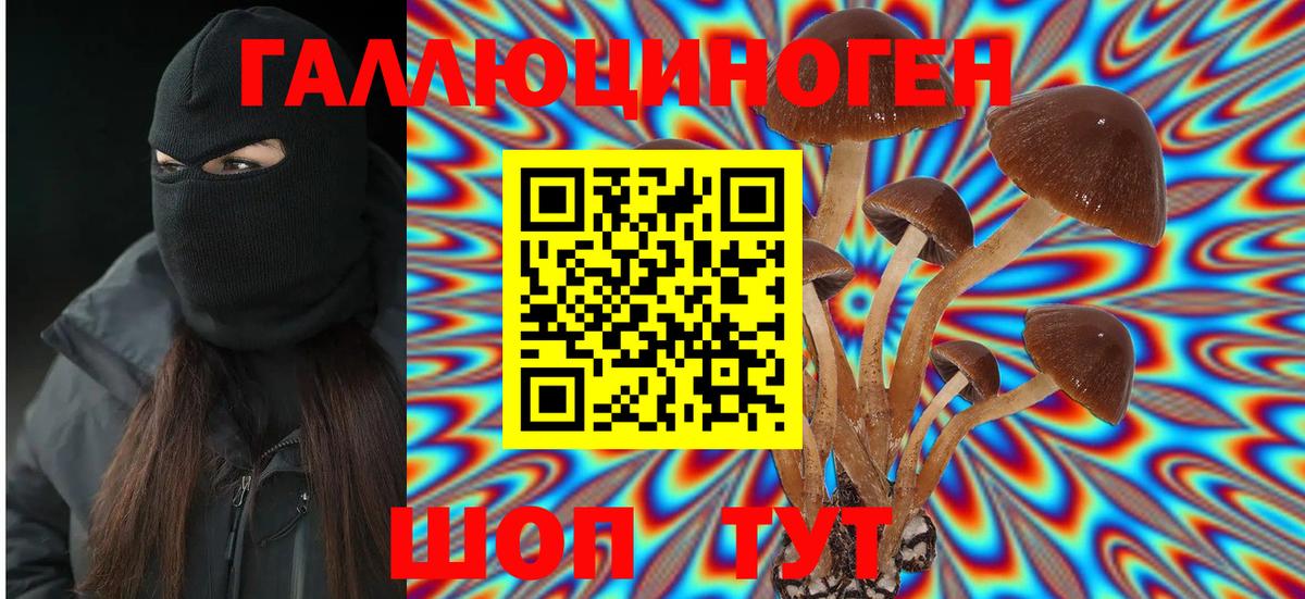 Галлюциногенные грибы MAGIC MUSHROOMS Энгельс