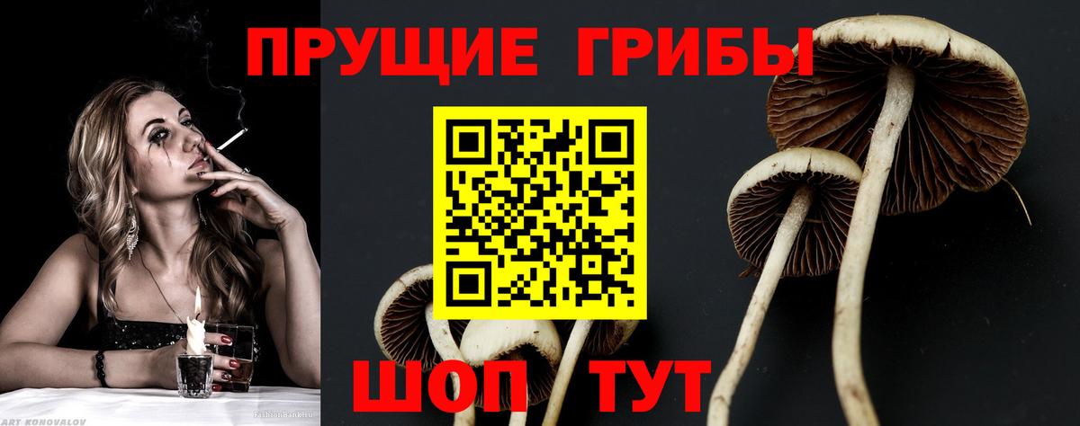 Псилоцибиновые грибы мухоморы  Вход с VPN  Энгельс  Псилоцибиновые грибы мицелий 